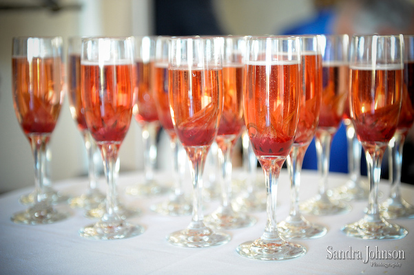 Best Nottoway Plantation Wedding photographer - Sandra Johnson (SJFoto.com)
